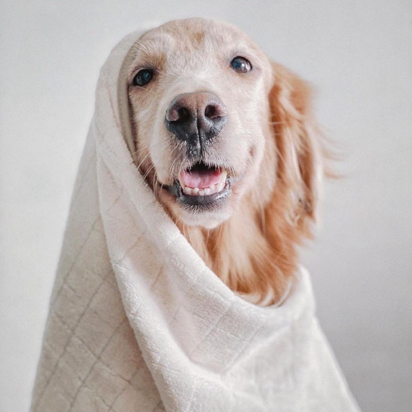 Baby Fleece Towel